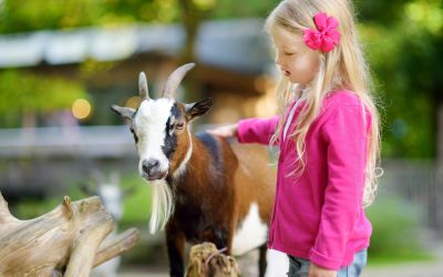 Besuche lieber einen Tierpark in Worms, Rheinböllen oder Kaiserslautern statt ein Tierkostüm zu tragen. (Foto: AdobeStock - MNStudio 194182270)