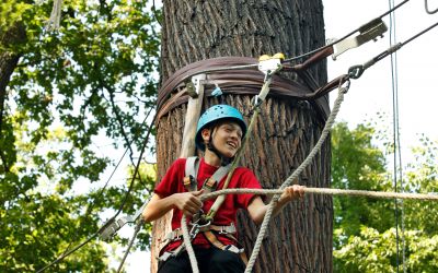 Neroberg Kletterwald: Fliehen Sie in die Welt des Hochseilgartens (Foto: AdobeStock -  Sergey 292180811)